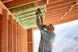 Best Pipe and Duct Insulation  in Dundee, MI