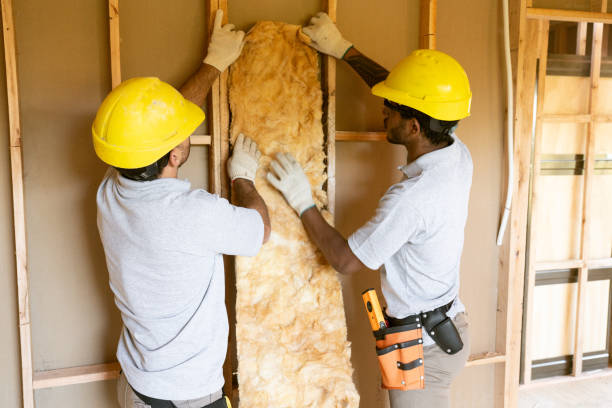 Best Attic Insulation Installation  in Dundee, MI